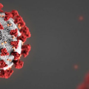 Leven in een wereld met het Covid-19 virus